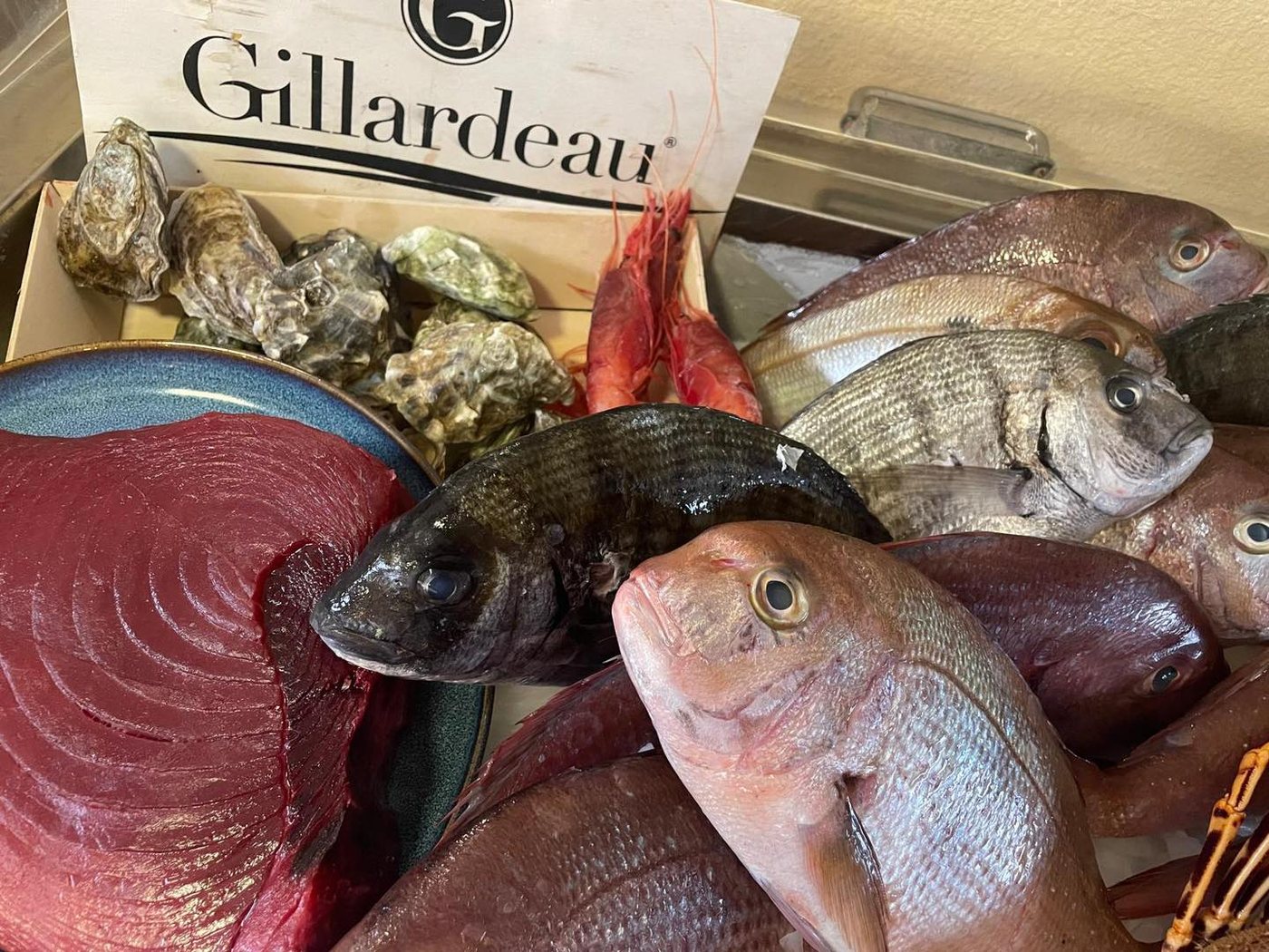 Fresh fish and oysters from the market