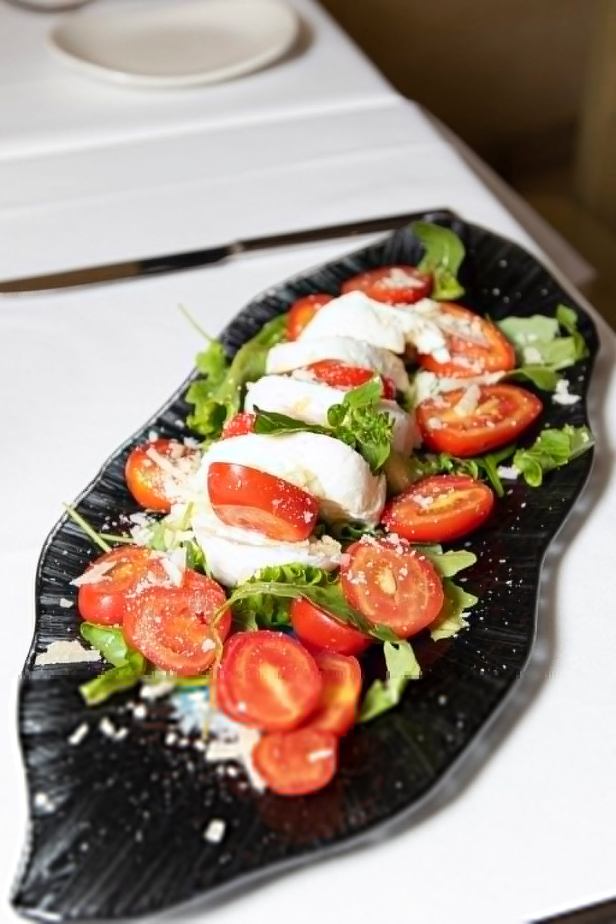 Buffalo mozzarella and tomato salad